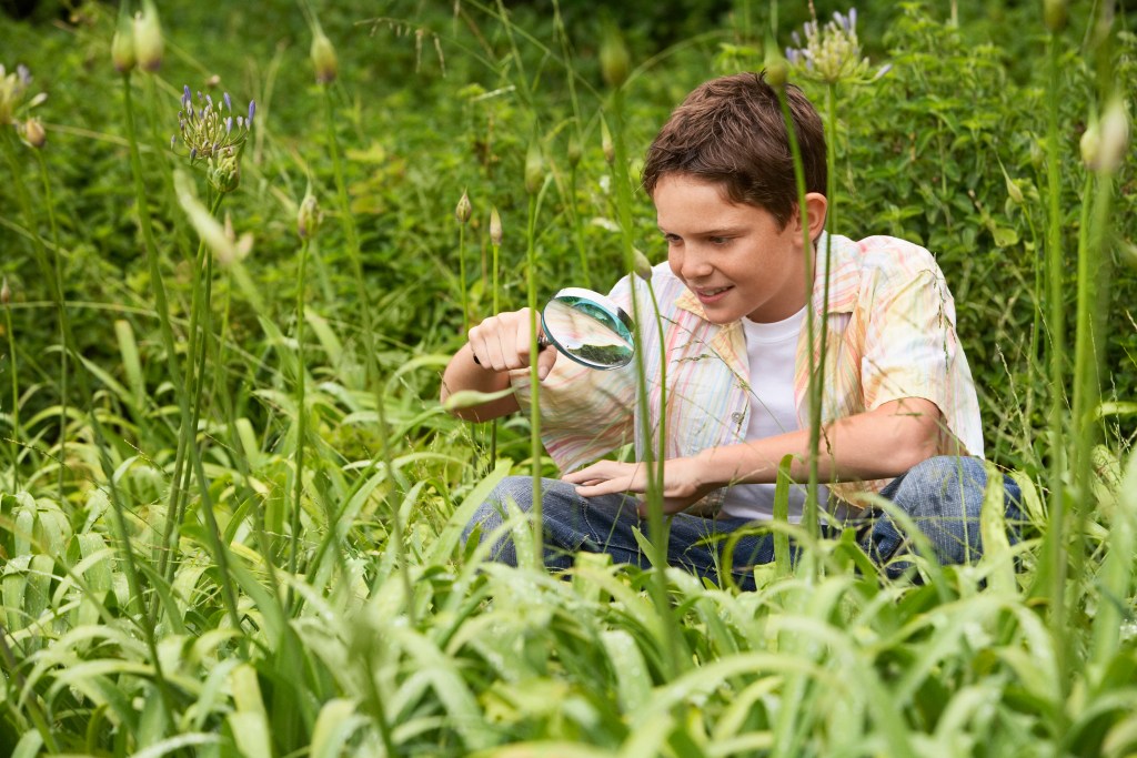 Metropolis Nature Drawback: Uncover the Vary of Nature in Your Neighborhood