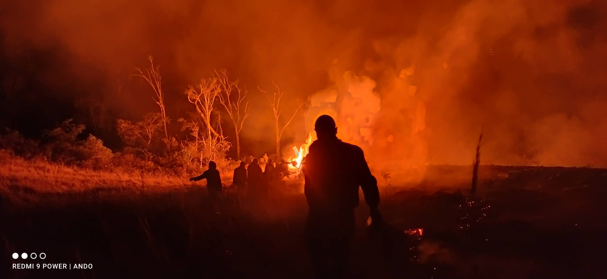 Yard Plans Restoration After Fire Burns 35 Acres of Priceless Forest in Madagascar