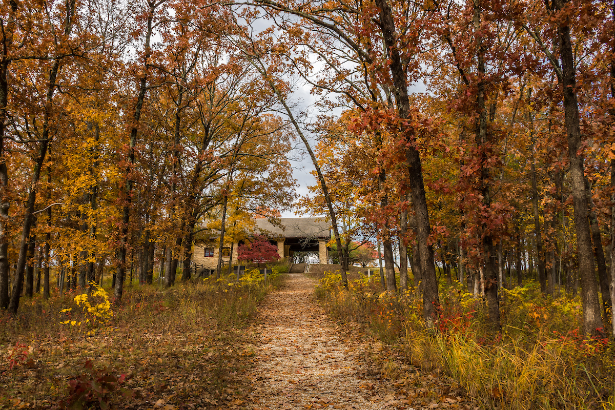 Woodlands and Forests of Shaw Nature Reserve