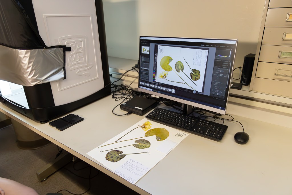 Revolutionizing Species Identification throughout the Missouri Botanical Yard’s Herbarium